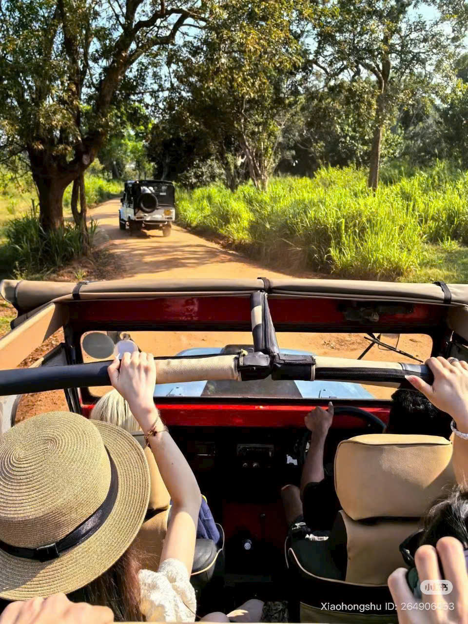 TOUR DU LỊCH SRILANKA QUỐC ĐẢO VÙNG NAM Á  2026 8 NGÀY 7 ĐÊM KHÁM PHÁ HÒN NGỌC ẤN ĐỘ DƯƠNG KHỞI HÀNH TỪ HÀ NỘI TP HỒ CHÍ MINH VÀ ĐÀ NẴNG 