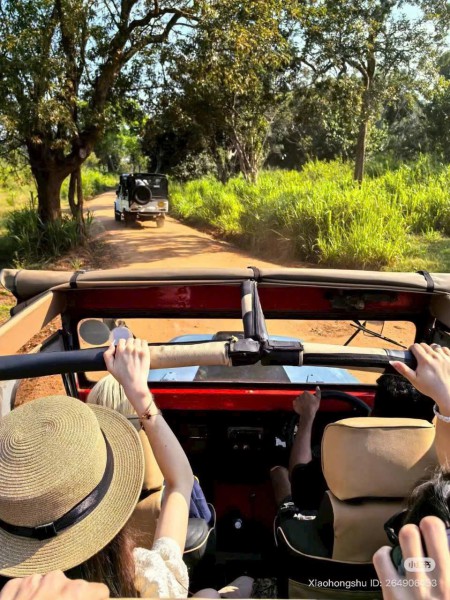 TOUR DU LỊCH SRILANKA QUỐC ĐẢO VÙNG NAM Á  2026 8 NGÀY 7 ĐÊM KHÁM PHÁ HÒN NGỌC ẤN ĐỘ DƯƠNG KHỞI HÀNH TỪ HÀ NỘI TP HỒ CHÍ MINH VÀ ĐÀ NẴNG 